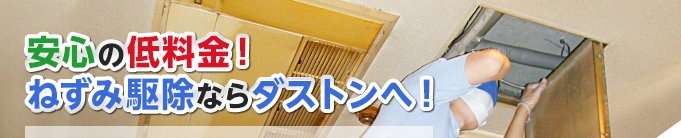 安心の低料金！ねずみ駆除ならダストンへ！