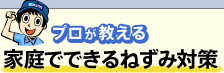 プロが教える「家庭でできるねずみ対策」