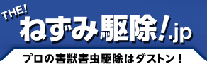 大阪のねずみ駆除業者！ダストン