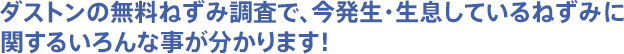 ダストンの無料ねずみ調査で、今発生・生息しているねずみに関するいろんな事が分かります！