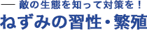 敵の生態を知って対策を！ねずみの習性・繁殖