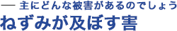 敵の生態を知って対策を！ねずみが及ぼす害